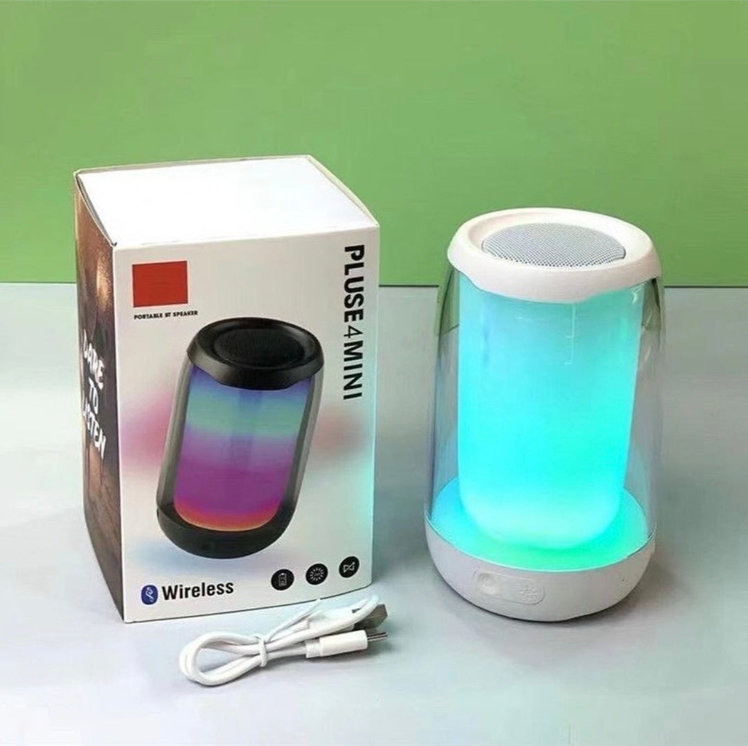 Pluse 4 mini
